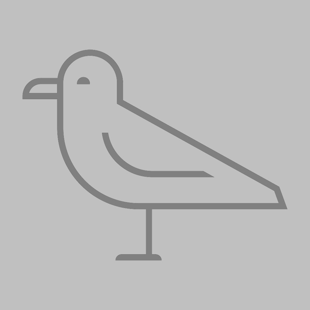 White seagull design on a blue t-shirt. Limited edition and hand printed in Brighton.